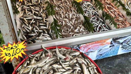 Hamsiden sonra tezgahların yeni gözdesi: Tirsi