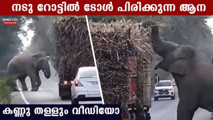 അമ്പമ്പോ നടുറോട്ടില്‍ ടോള്‍ പിരിക്കുന്ന ആനയെ കണ്ടോ, ചിരിച്ചു ചാവും വീഡിയോ