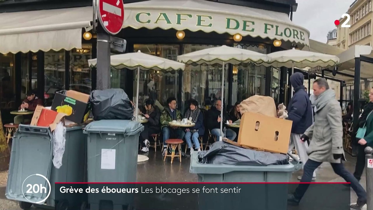 Conséquence visible de la mobilisation contre la réforme des retraites, les ordures commencent à s'amonceler dans plusieurs villes de France avec des risques pour l'hygiène