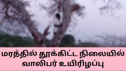 காரைக்குடி : மரத்தில் துக்கிட்டு வாலிபர் பலி - என்ன காரணம் !