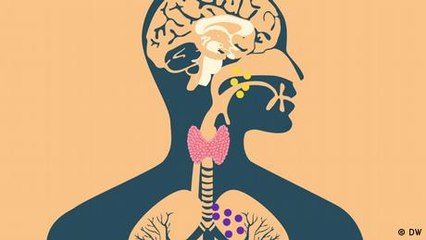 How stress affects the thyroid