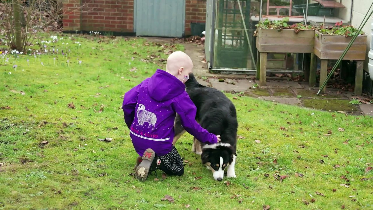 Freya and Echo are heading to Crufts! - video Dailymotion