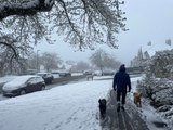 The latest pictures and video as heavy snow is expected today in Sheffield