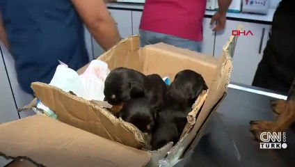 Enkaz altında doğum yaptı, 28 gün sonra çıkarıldı