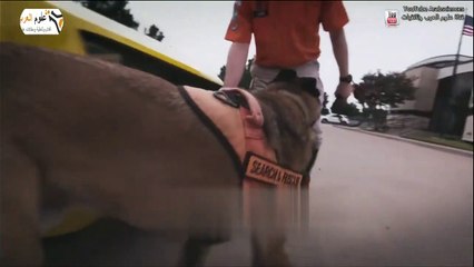 وثائقي جرائم القتل 2023 الحلقة 13 قصة _ شانيا جراي _» الفخ الذي سينتهي بمأساة