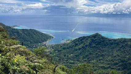 Echappées belles - La Polynésie de Tiga