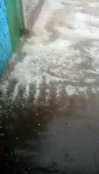 कछियारा इलाके में गिरे ओल, सरसों व गेहूं दोनों में नुकसान की आशंका...देखें वीडियो