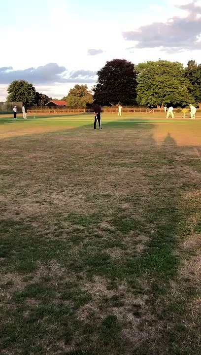 cricket