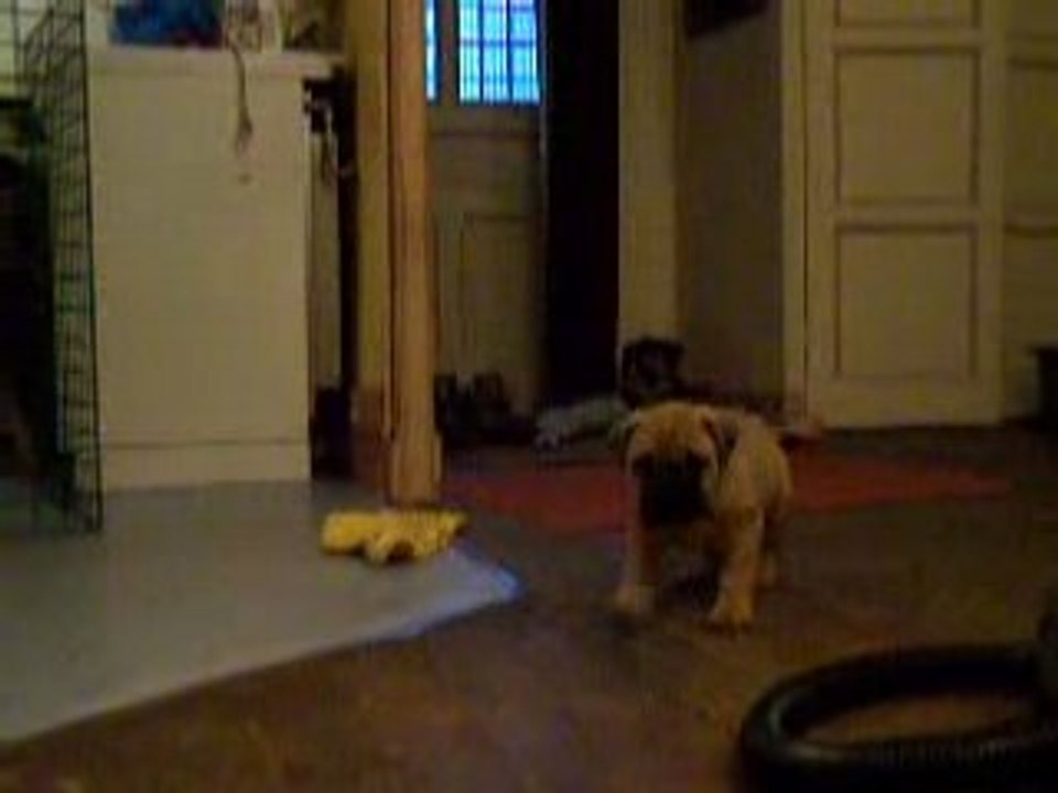 Photo diverss2 344