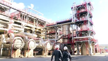Biocombustibles cepsa