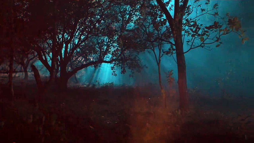 Kantara Scary Scene | Kantara movie Shiva Scared