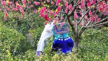 Çin'de Çay Yetiştirilen Dağlarda Çiçek Açan Şeftali Ağaçları Turistlerin Gözdesi Oldu
