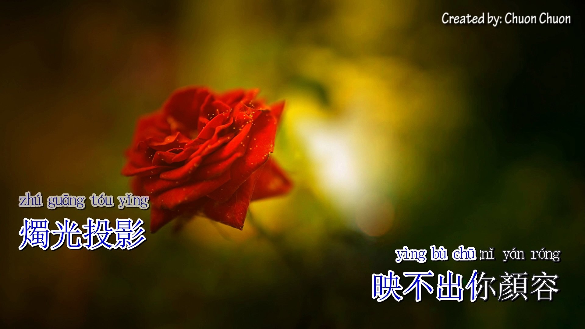 Karaoke - 九佰九拾九朵玫瑰