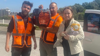 Hatay'da enkaz altında kalan kediye 31 gün sonra ulaşıldı