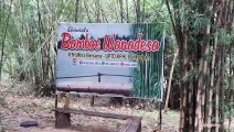 Tempat Wisata Balikpapan Hutan Bambu KM 15