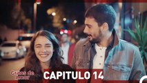 Gritos de Amor Capitulo 14 (Doblaje En Español)