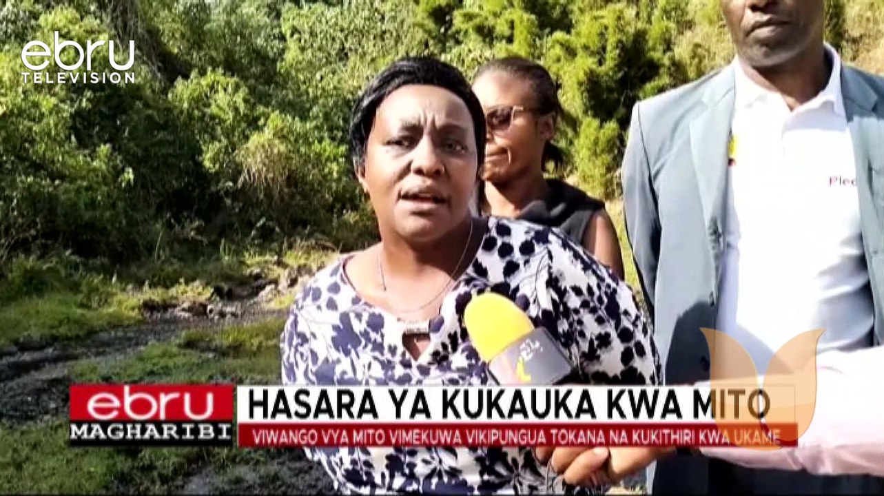 Mkulima Mmoja Wa Samaki Kaunti Ya Embu Anakadiria Hasara Ya Kupoteza Zaidi Ya Samaki 300 Wachanga Akidai Kuwa Mradi Jirani Wa Unyunyizi Maji Ulizuia Maji Ya Mto Nyanjara Na Kusababisha Uhaba Uliowaangamiza Samaki Hao.Haya Yanajiri Licha Ya Serikali Ya Kau