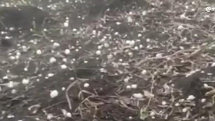 MP में बेमौसम बारिश का दौर जारी, कहां-कहां पड़ेंगे बारिश के साथ ओले,देखें ये बड़ी खबर