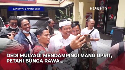 Dedi Mulyadi Dampingi Mang Uprit saat Memenuhi Panggilan Polisi