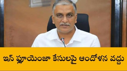 ఇన్ ఫ్లూయెండా కేసులపై ఆందోళన అక్కర్లేదు- మంత్రి హరీశ్ రావు