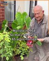 Romance isn't dead, folks!  This husband still knows how to sweep his wife off her feet after all these years!