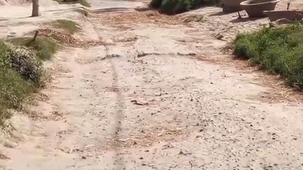 मुजफ्फरपुर: जर्जर सड़क से राहगीर परेशान, आए दिन होती है दुर्घटना, प्रशासन मौन