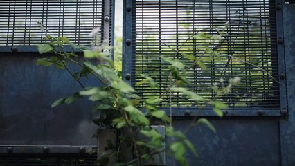 Layers: Looking Inside HMP Holloway