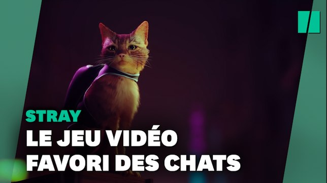 Le jeu vidéo « Stray », favori des César du jeu vidéo, plait aussi beaucoup aux chats