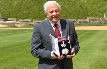 David Attenborough voted UK's favourite TV presenter