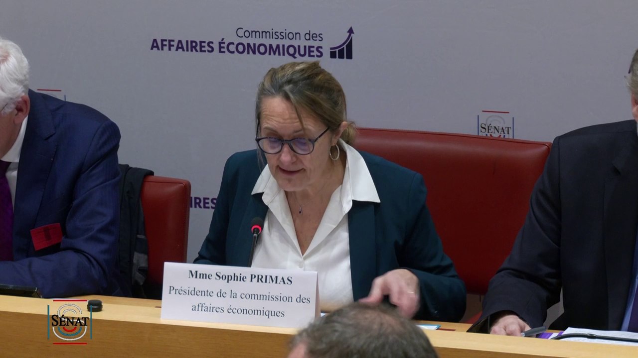 Fusion ASN / IRSN : "C'est beaucoup d'improvisation pour des choses très sérieuses"