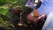 The schoolgirls helping Pakistan plant 240 million trees