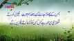 2 Lines Mohabbat Poetry Mohabbat Sher o Shayari Urdu Sad Poetry