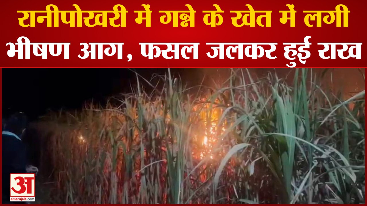 रानीपोखरी में गन्ने के खेत में लगी भीषण आग, फसल जलकर हुई राख