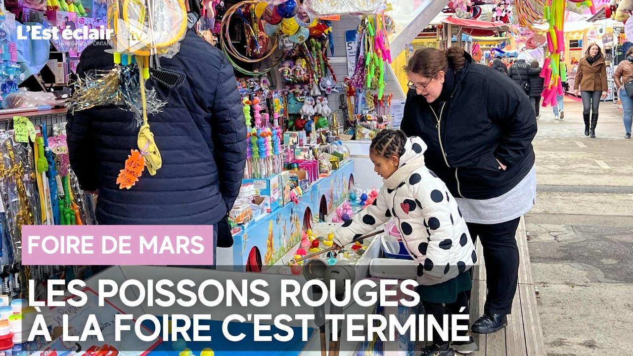 Les petits plaisirs de la foire : On ne gagnera plus de poisson rouge