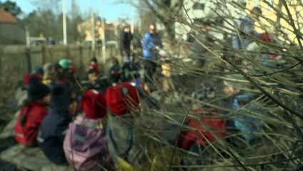 Educação a céu aberto: as pré-escolas nas florestas dos países escandinavos