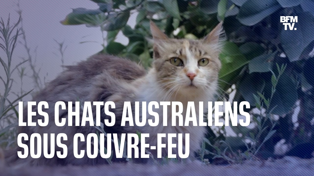 Australie: pourquoi un couvre-feu est imposé au...