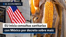 EU inicia consultas sanitarias con México por decreto sobre maíz