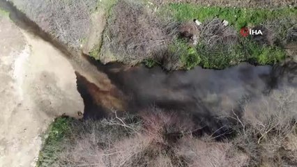 Büyükçekmece Barajı'na akan derede kimyasal atık şüphesi