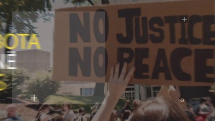 "Bota në Fokus": Kopshti vertikal që kultivon zarzavate në mënyrë robotike