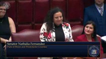 Consul Dominicano recibe resolución del Senado del estado de New York en Ceremonia Histórica