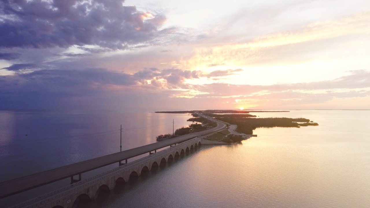 The Weird  Wild Road Florida Road Trip Every Southerner Should Take