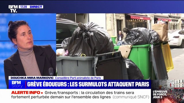 Rats dans Paris: Les méthodes létales ne servent à rien selon la conseillère de Paris, Douchka Mira Markovic