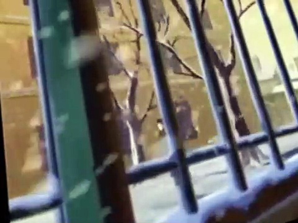 Loulou de Montmartre Loulou de Montmartre E003 Escapede