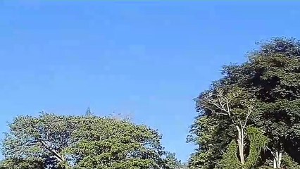 Compatibilidad | Experiencia Sonora -Alternativo Chapter#1 | Danirexha