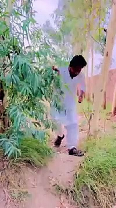 Funny Video