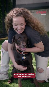 Santa Catarina entre os estados mais apaixonados por pets no Brasil