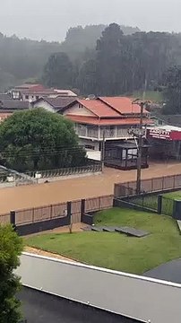 Temporal alaga ruas, derruba árvore e causa estragos em Rio Negrinho