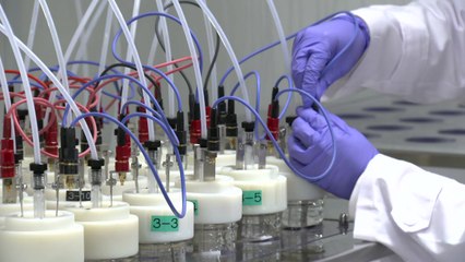 "2천톤 물 속 오염수 한 방울도 검출"...후쿠시마 방류 해양 감시 강화 / YTN