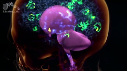 BLVCK CEILING - HELLO, TASH