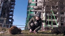 Ukrainian girl feeds stray cats, including her own, in bombed hometown